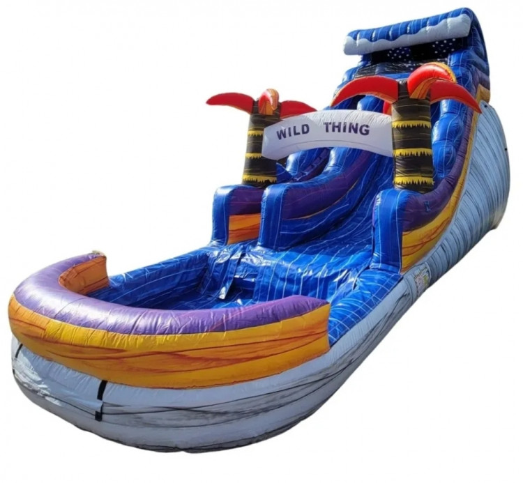 Water slide rentals in Kansas City, KS for birthday parties and events.